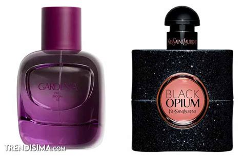 zara black opium